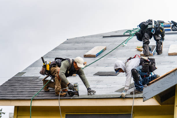 Professional Roofing technician working in Verona, ND